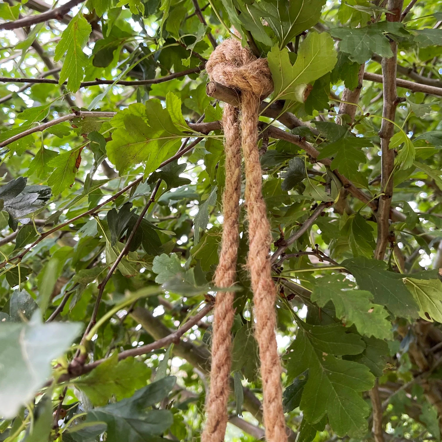 Black Hanging Monkey Ornament 4 Black Hanging Monkey Ornament - Image 4