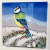 Winter Blue Tit Ceramic Tile Wall Art